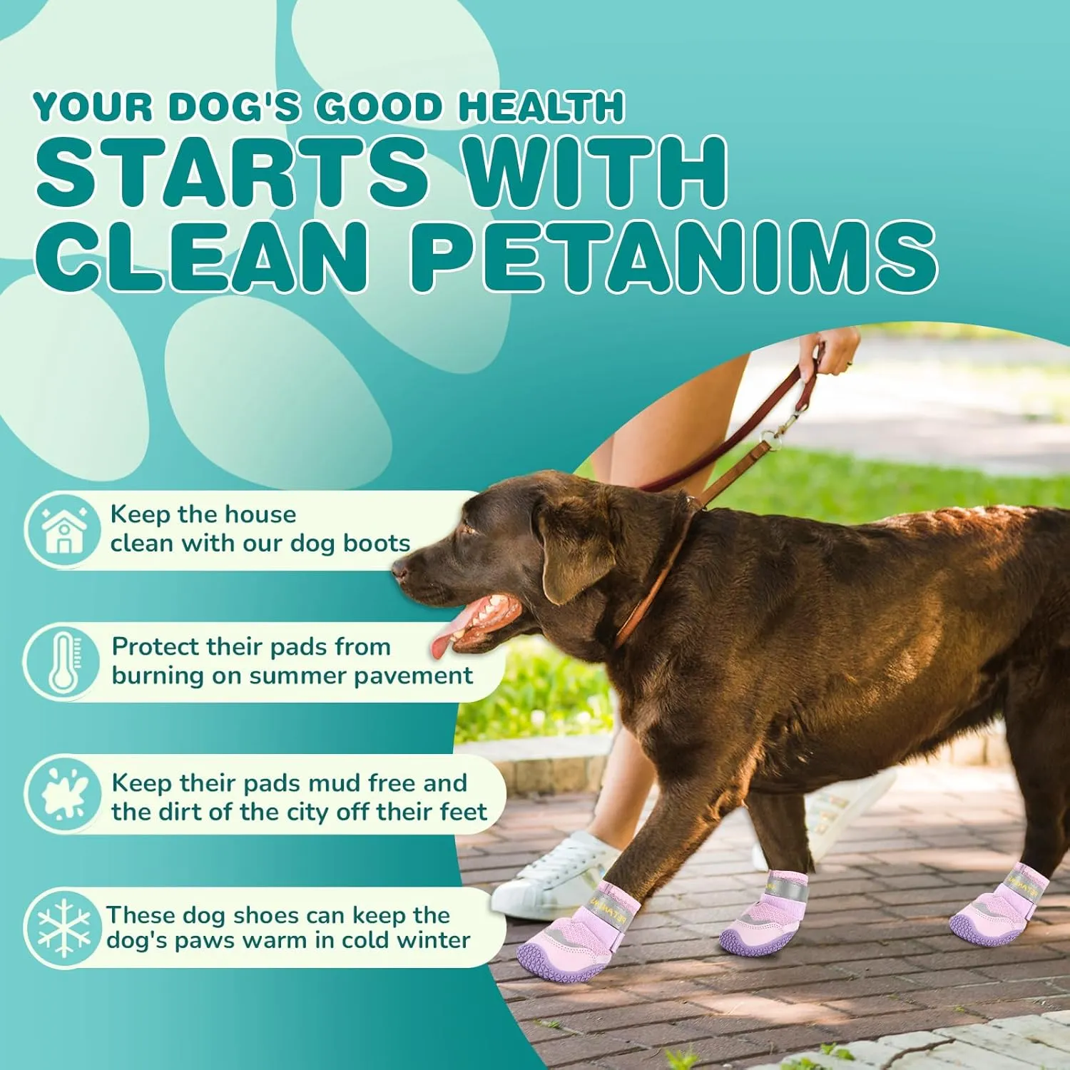 Dog Shoes for Large Dogs, Medium Dog Boots & Paw Protectors for Winter Snow, Breathable Dog Booties for Hot Pavement, Hardwood Floors Purple Size 7