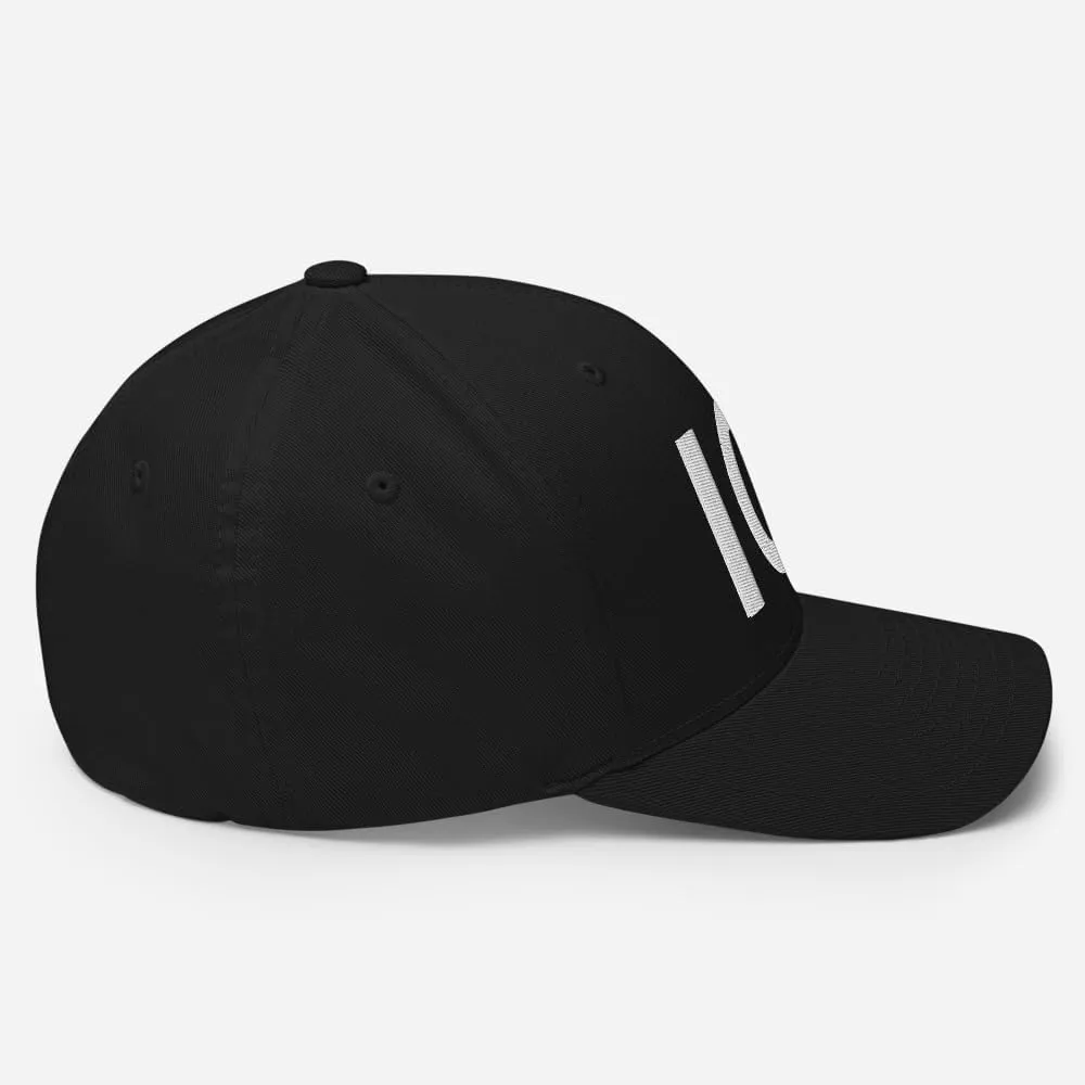 ICE Hat - Embroidered Structured Flex Fit Baseball Cap US Immigration Customs Border Hat