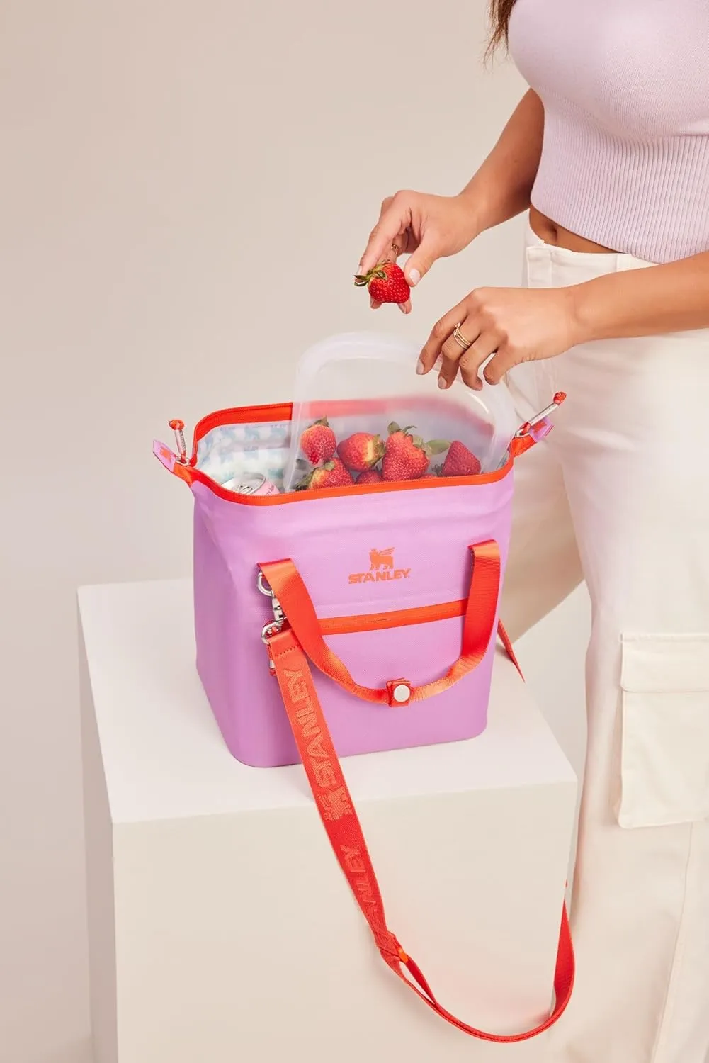 Stanley All Day Julienne Mini Soft Cooler Bag and Lunch Box | Can Cooler with Handles and Strap | 12 Hour Cooling | Insulated Travel Bag with Zipper | BPA-Free